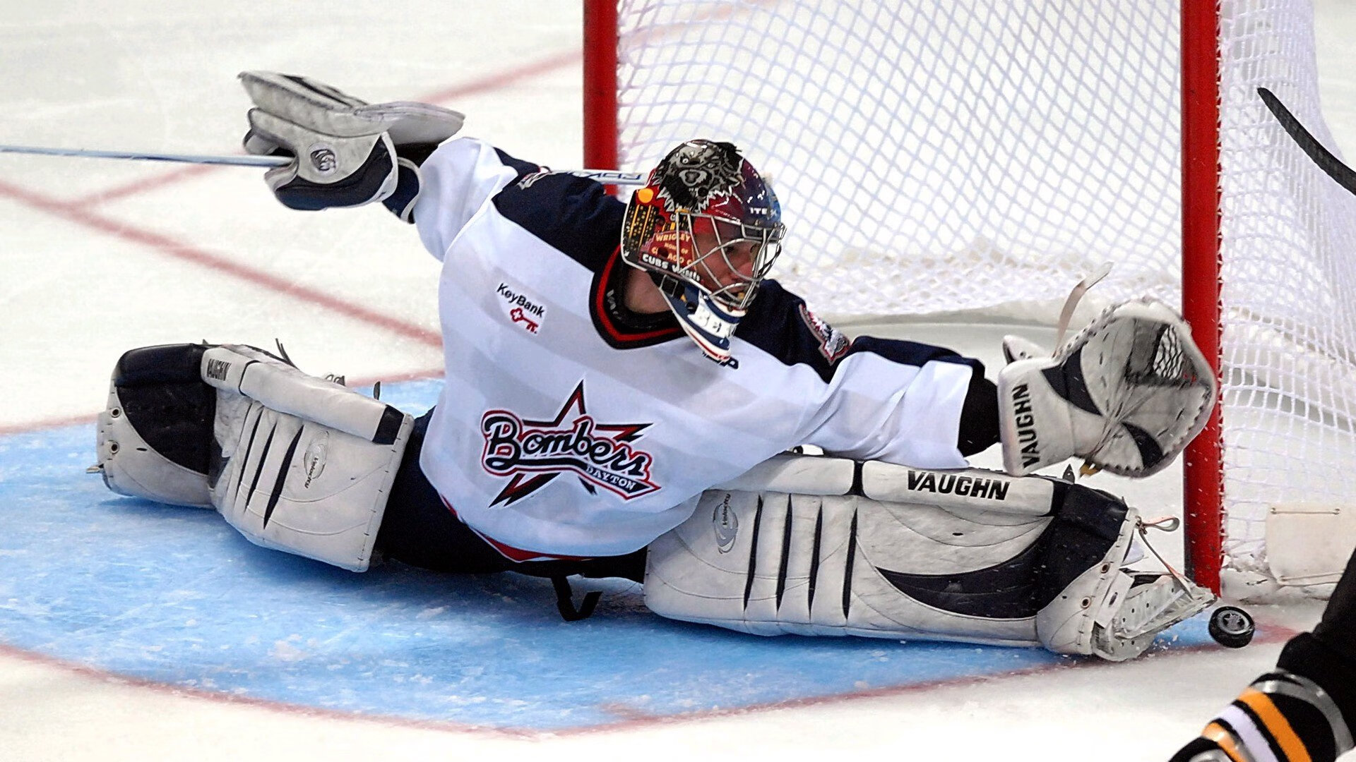 爱游戏电竞官网-“美洲狮队奋勇拼搏,征战橄榄球冠军锦标赛”