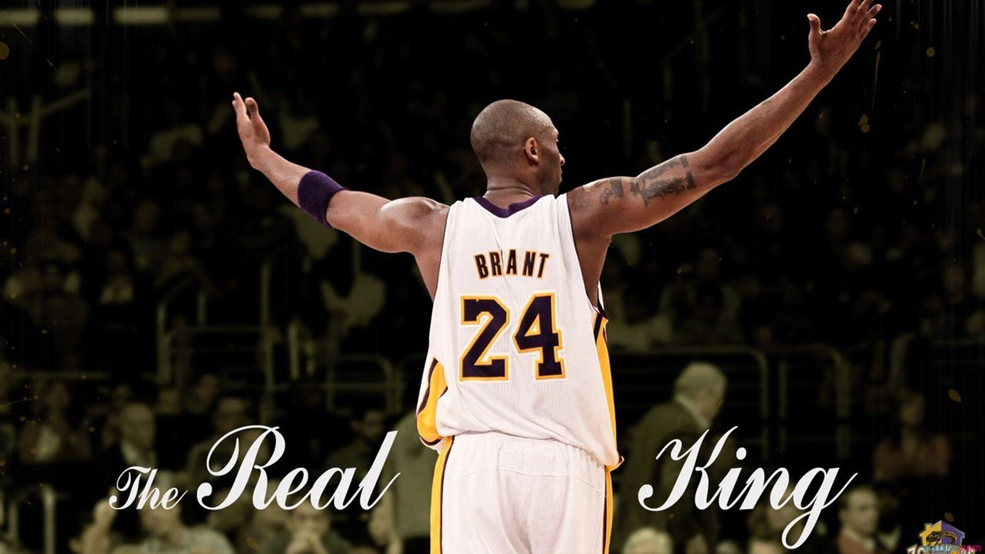 爱游戏体育平台-“彼得森的非凡表现助南非羚羊队破纪录创佳绩”